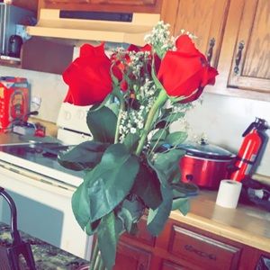 Meet your Posher, Lindsey